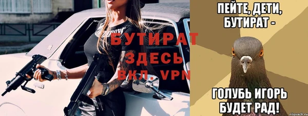 прущие грибы Беломорск