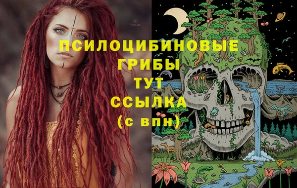 дурь Белокуриха