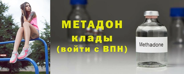 прущие грибы Беломорск