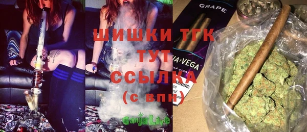 прущие грибы Беломорск