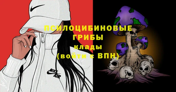 дурь Белокуриха