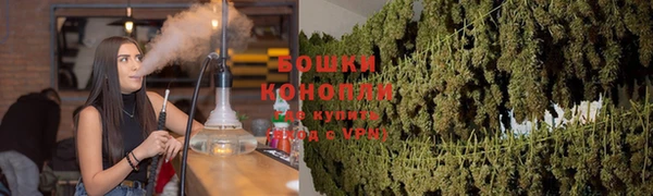 дурь Белокуриха